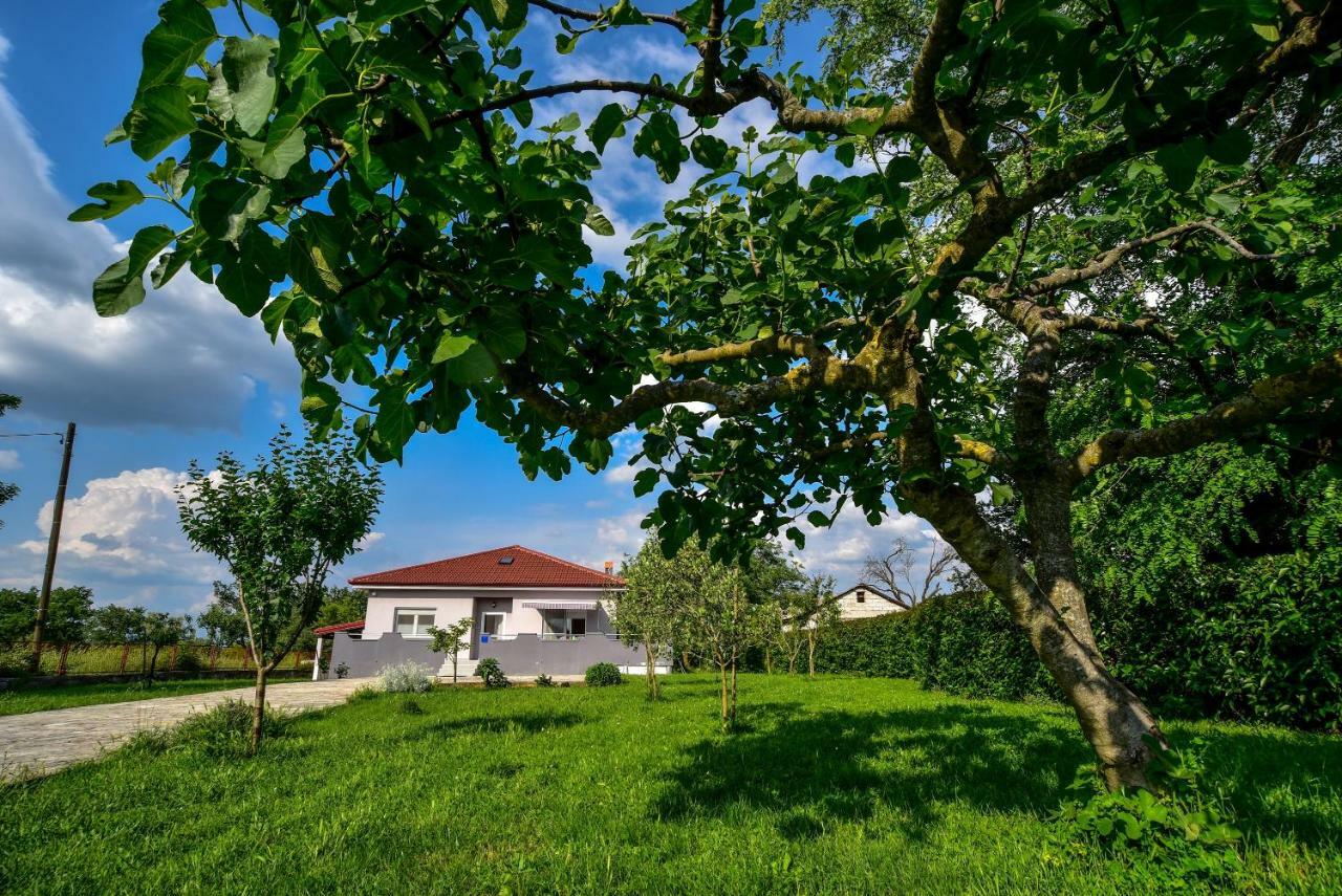Ankin Dvor Villa Galovac  Eksteriør bilde